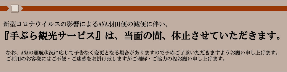 手ぶら観光サービス 空港案内所で手荷物をお預かりし その日の夕刻に宿泊施設にお届けするサービス 米子鬼太郎空港